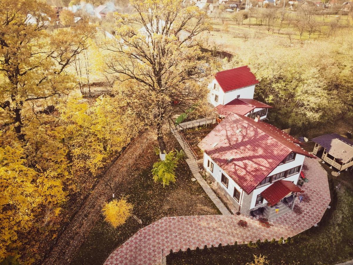 Stejarul Lui Andrei Hotel Izvoarele  Exterior foto
