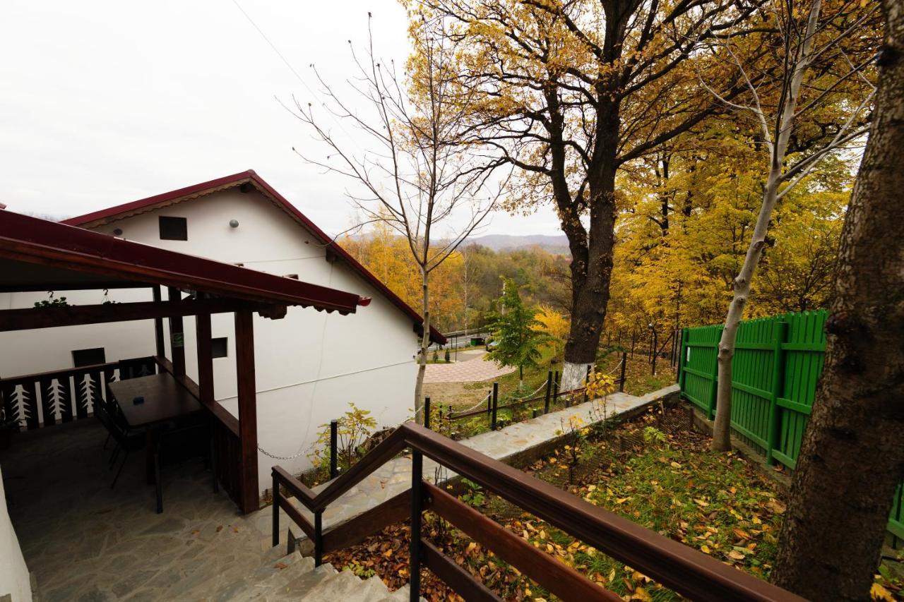 Stejarul Lui Andrei Hotel Izvoarele  Exterior foto